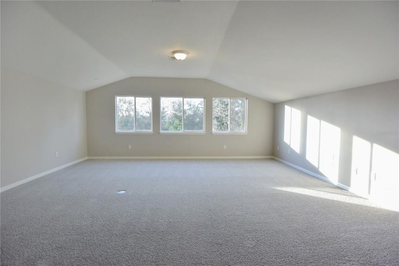 7015 Cardinalwood Lane, Land O Lakes, FL 34637 Photo