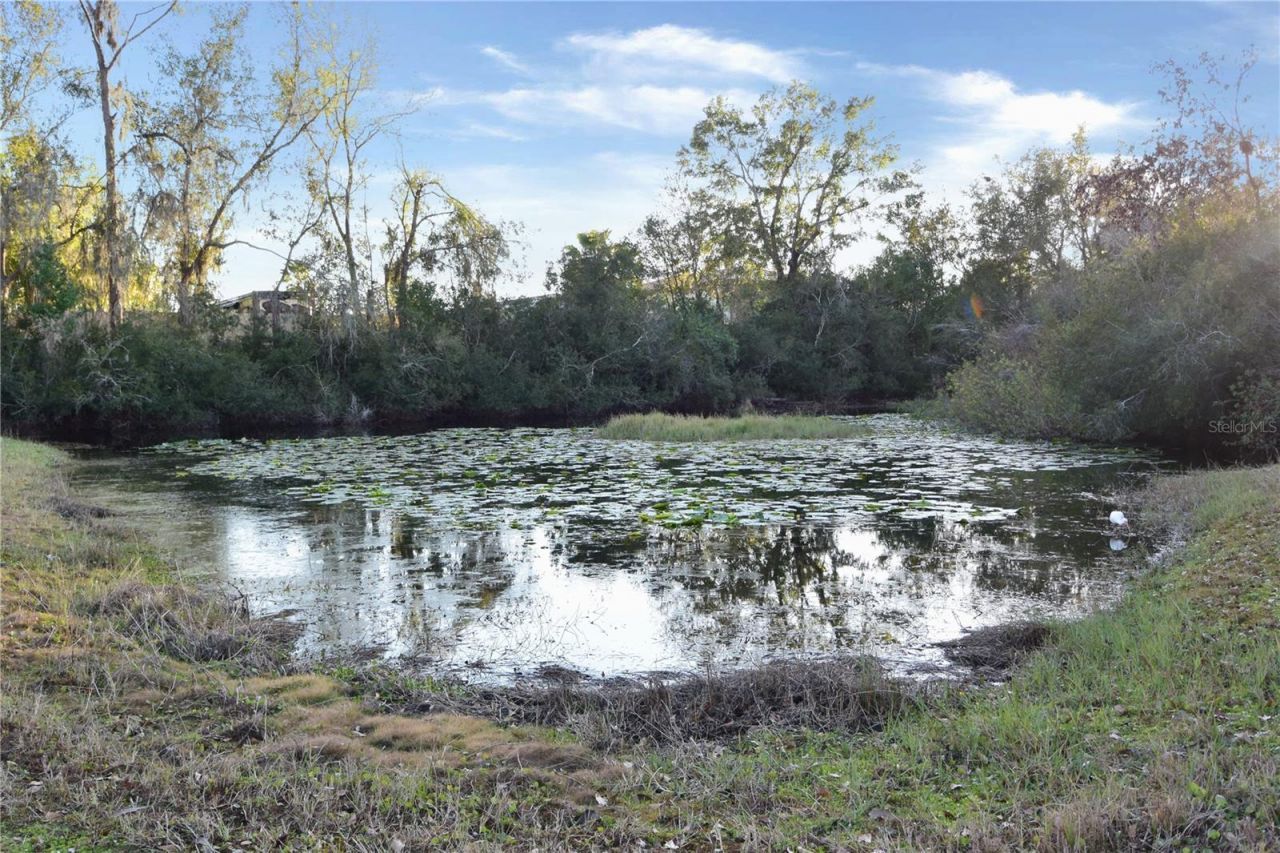 7015 Cardinalwood Lane, Land O Lakes, FL 34637 Photo