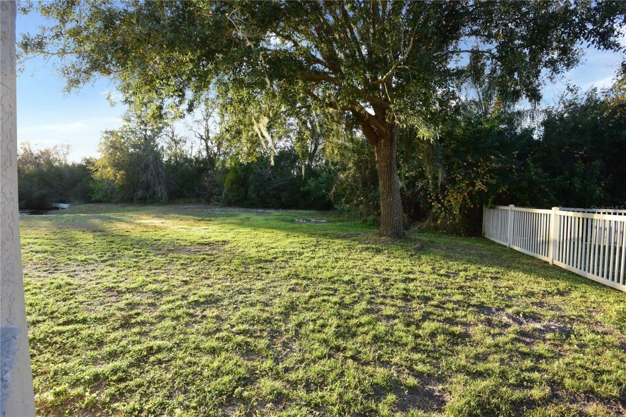 7015 Cardinalwood Lane, Land O Lakes, FL 34637 Photo