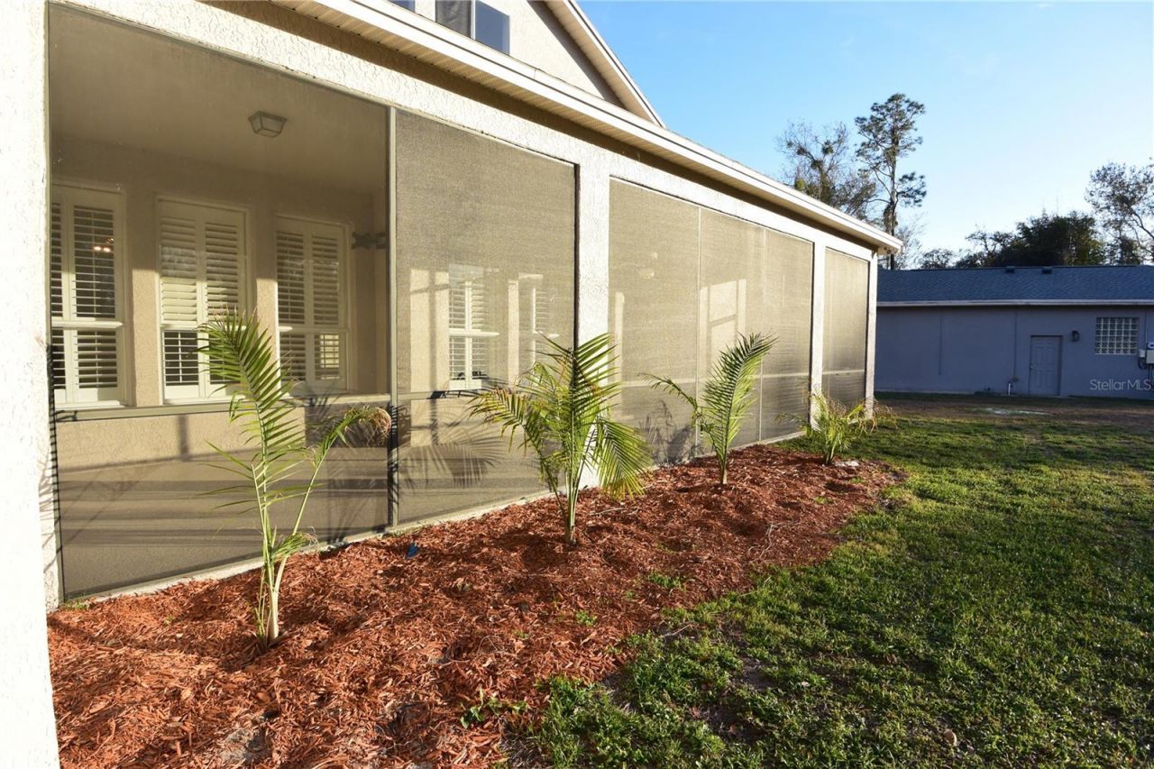 7015 Cardinalwood Lane, Land O Lakes, FL 34637 Photo