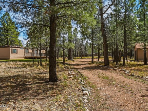 826 JACKS CANYON Drive, Happy Jack, AZ 86024