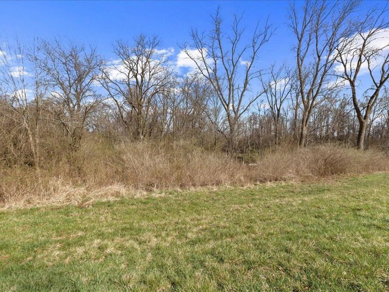 5061 Cox Road, North Lewisburg, OH 43060 Photo 42