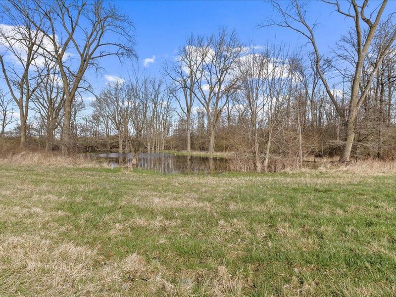 5061 Cox Road, North Lewisburg, OH 43060 Photo 43