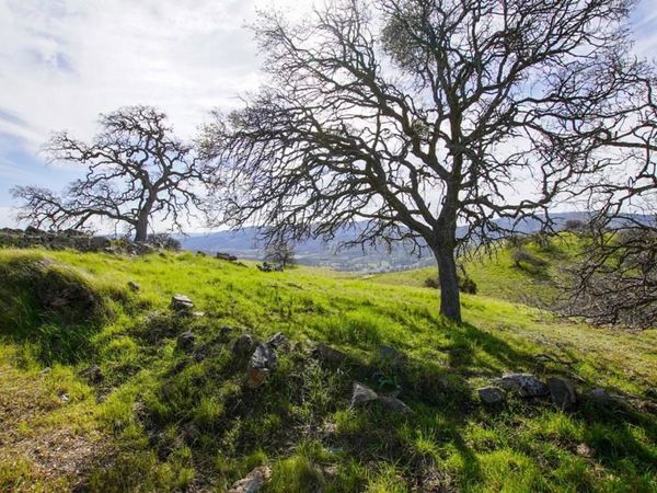 20041 Panoche Road, Paicines, CA 95043