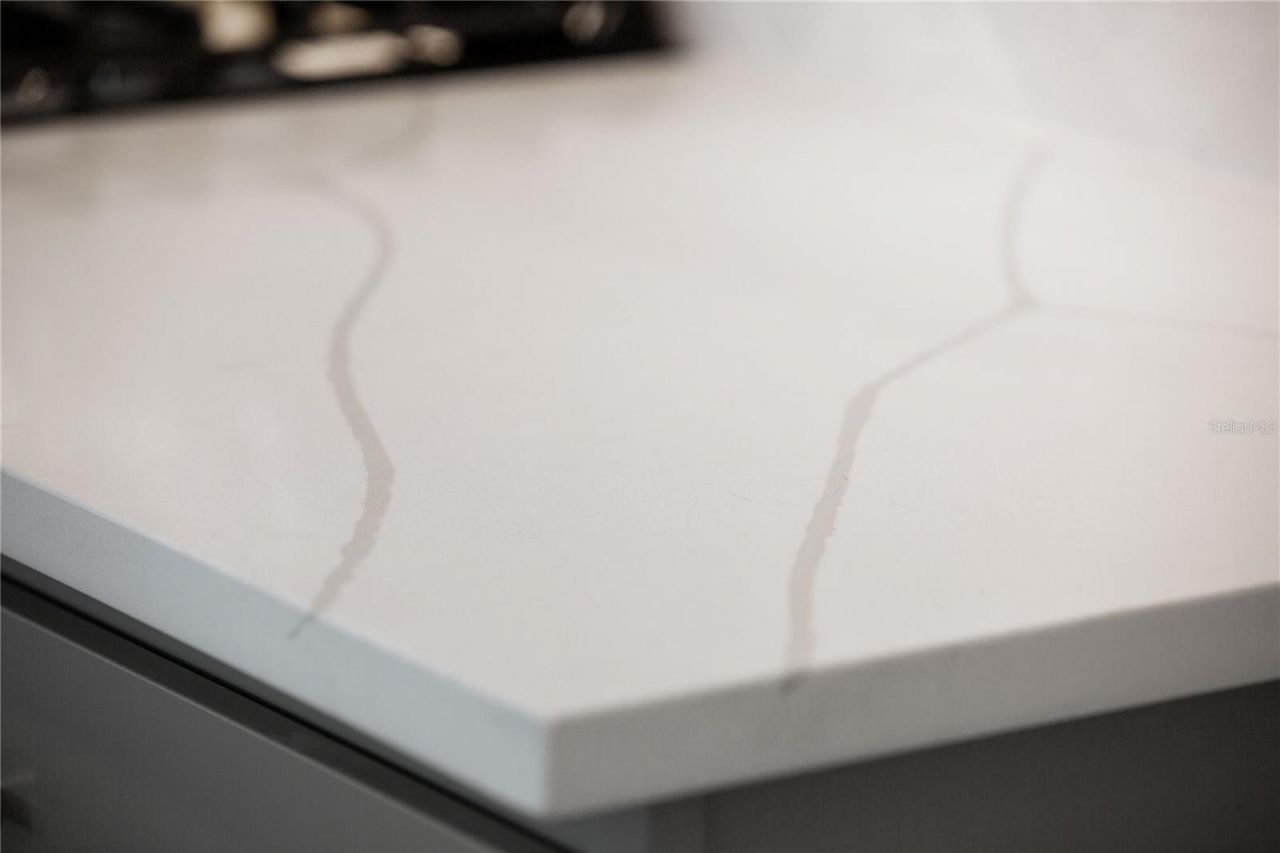 134 Bragg Lane, Lakewood Ranch, FL 34240 Photo