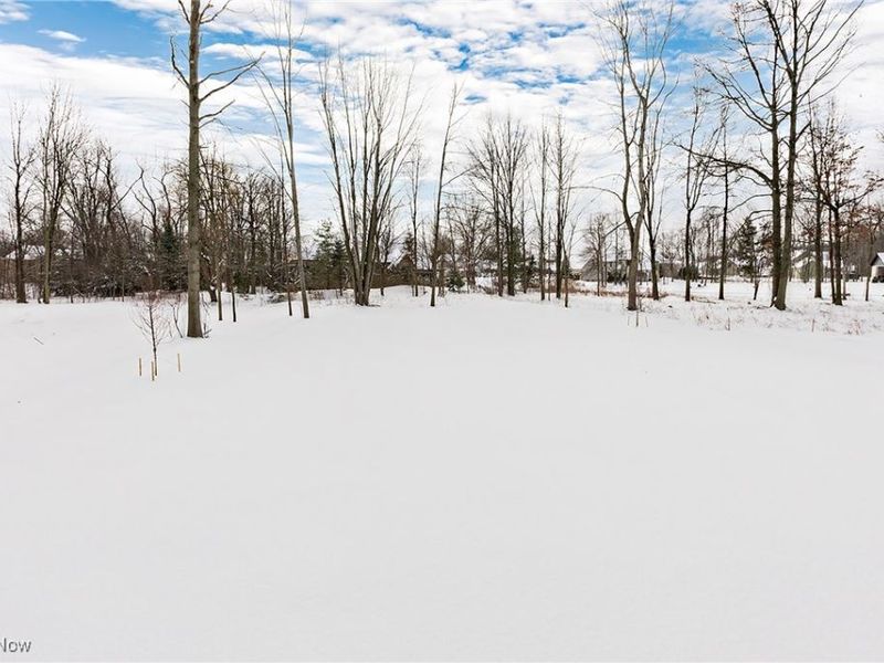 2705 Rocky Ridge Drive, Westlake, OH 44145 Photo 3