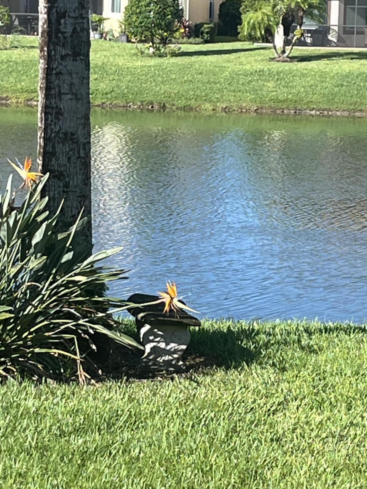 10594 SW Capraia Way, Port Saint Lucie, FL 34986 Photo