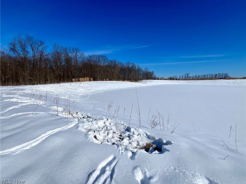 5581 Hatches Corners Road, Kingsville, OH 44030 Photo 17