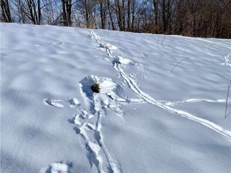 5581 Hatches Corners Road, Kingsville, OH 44030 Photo 18