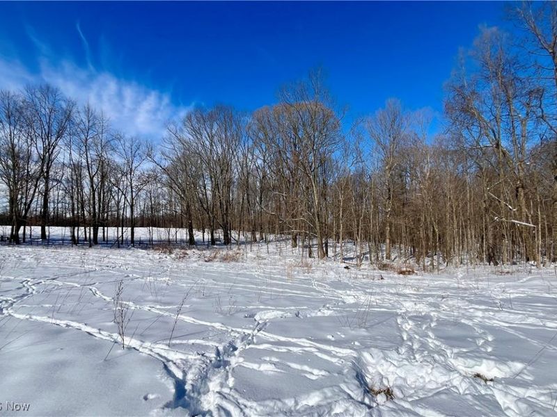 5581 Hatches Corners Road, Kingsville, OH 44030 Photo 20