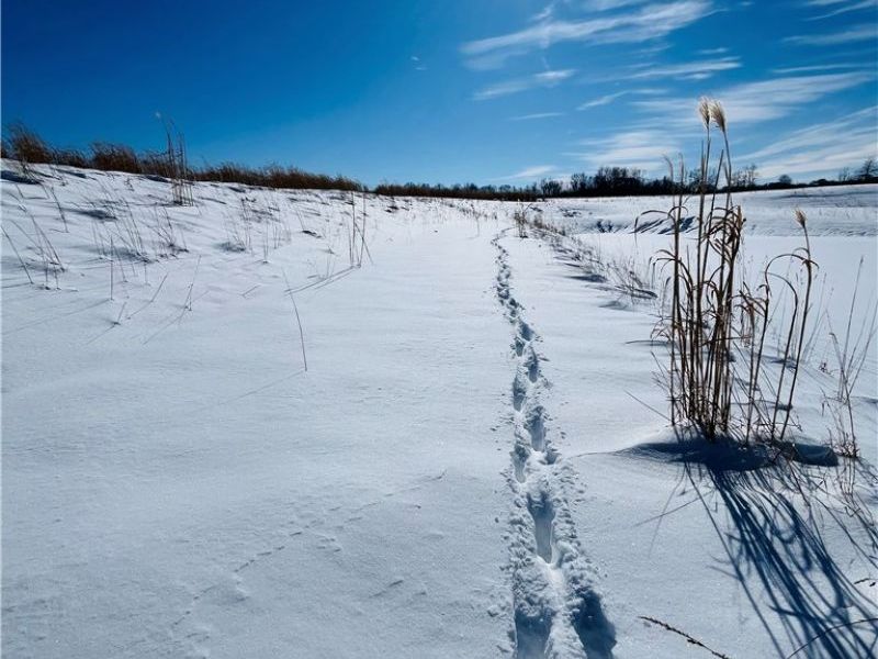 5581 Hatches Corners Road, Kingsville, OH 44030 Photo 23