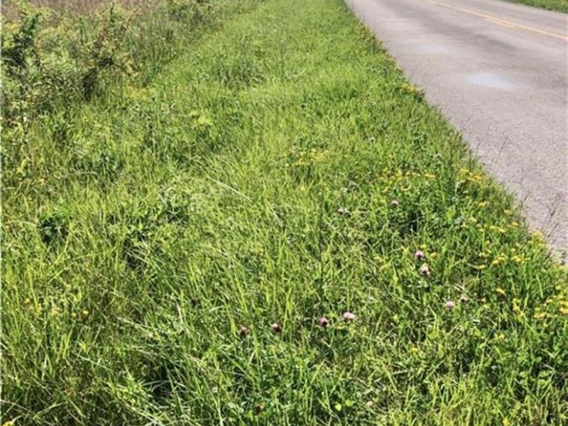 5581 Hatches Corners Road, Kingsville, OH 44030 Photo 3