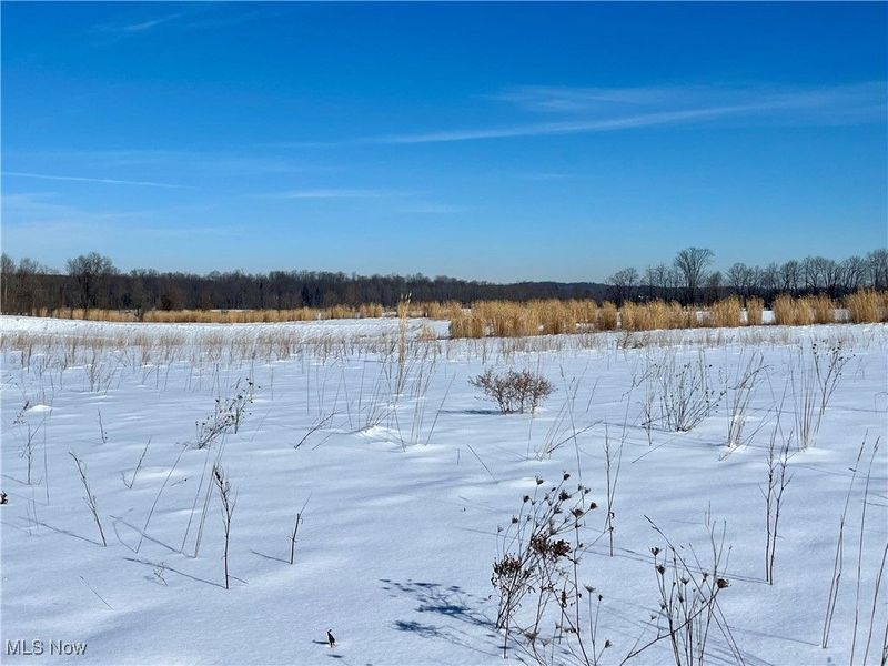 5581 Hatches Corners Road, Kingsville, OH 44030 Photo 9