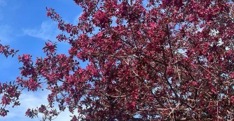 4301 Pinnacle Vista Court, Sparks, NV 89436 Photo