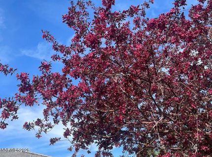 4301 Pinnacle Vista Court, Sparks, NV 89436 Photo