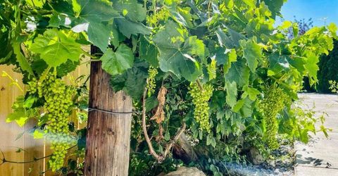 4301 Pinnacle Vista Court, Sparks, NV 89436 Photo