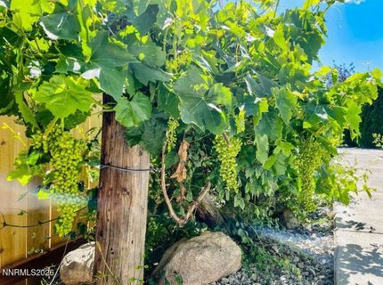 4301 Pinnacle Vista Court, Sparks, NV 89436 Photo