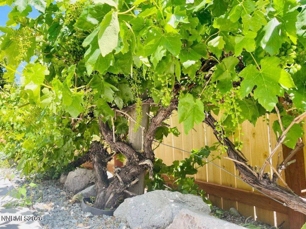 4301 Pinnacle Vista Court, Sparks, NV 89436 Photo