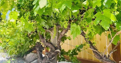 4301 Pinnacle Vista Court, Sparks, NV 89436 Photo