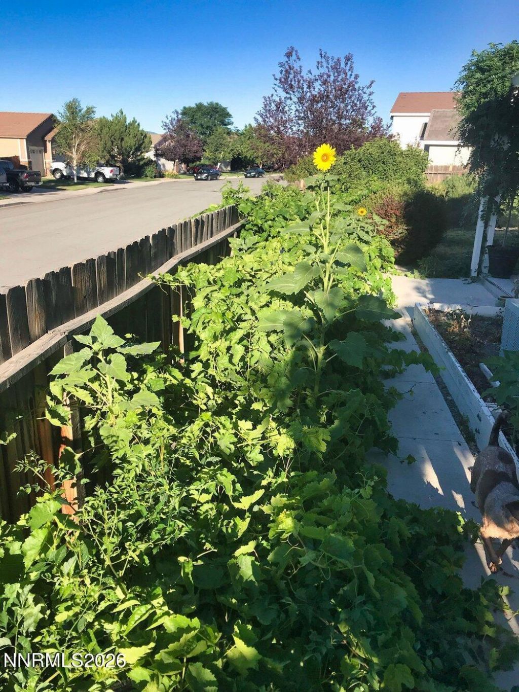 4301 Pinnacle Vista Court, Sparks, NV 89436 Photo