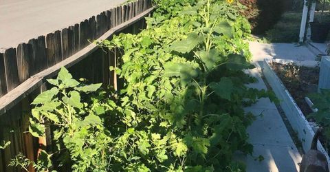 4301 Pinnacle Vista Court, Sparks, NV 89436 Photo