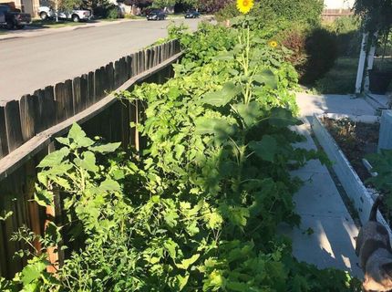 4301 Pinnacle Vista Court, Sparks, NV 89436 Photo