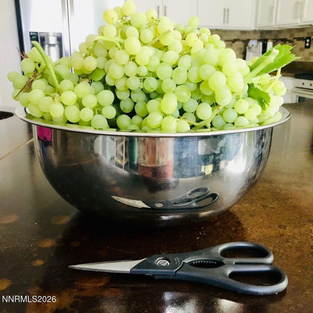 4301 Pinnacle Vista Court, Sparks, NV 89436 Photo