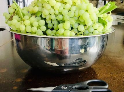 4301 Pinnacle Vista Court, Sparks, NV 89436 Photo