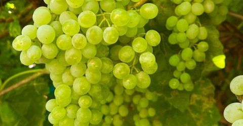 4301 Pinnacle Vista Court, Sparks, NV 89436 Photo