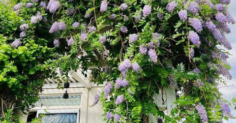 4301 Pinnacle Vista Court, Sparks, NV 89436 Photo