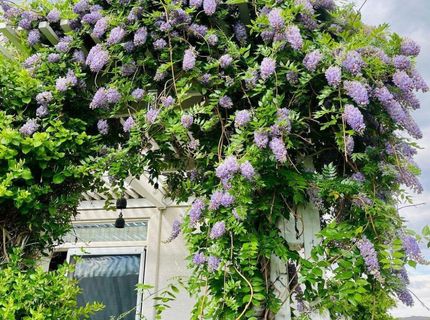 4301 Pinnacle Vista Court, Sparks, NV 89436 Photo