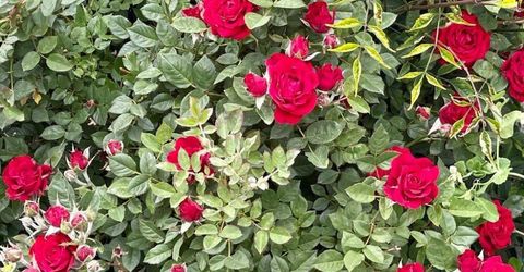 4301 Pinnacle Vista Court, Sparks, NV 89436 Photo