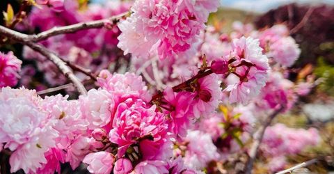 4301 Pinnacle Vista Court, Sparks, NV 89436 Photo