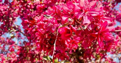 4301 Pinnacle Vista Court, Sparks, NV 89436 Photo