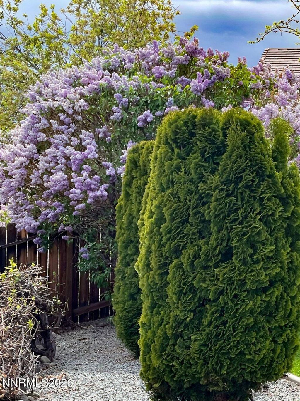 4301 Pinnacle Vista Court, Sparks, NV 89436 Photo