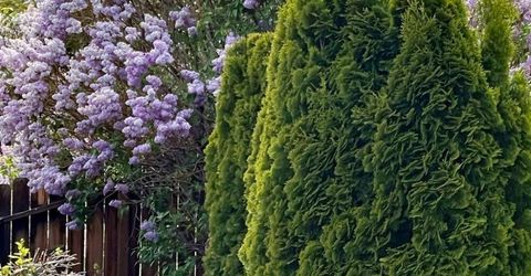 4301 Pinnacle Vista Court, Sparks, NV 89436 Photo