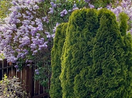 4301 Pinnacle Vista Court, Sparks, NV 89436 Photo