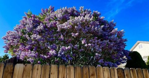 4301 Pinnacle Vista Court, Sparks, NV 89436 Photo