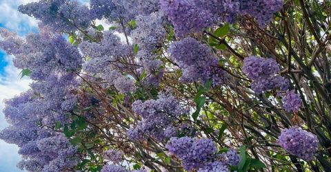 4301 Pinnacle Vista Court, Sparks, NV 89436 Photo