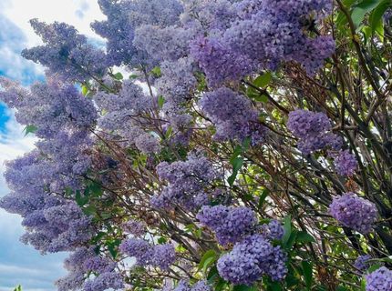 4301 Pinnacle Vista Court, Sparks, NV 89436 Photo