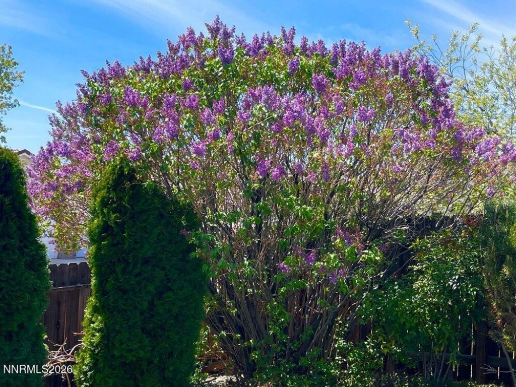 4301 Pinnacle Vista Court, Sparks, NV 89436 Photo