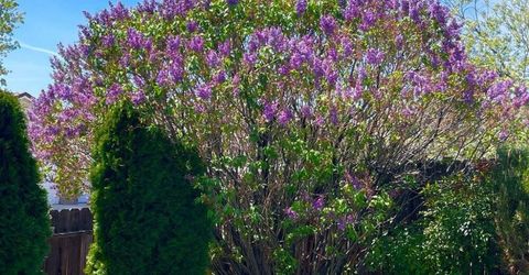 4301 Pinnacle Vista Court, Sparks, NV 89436 Photo