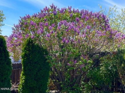 4301 Pinnacle Vista Court, Sparks, NV 89436 Photo