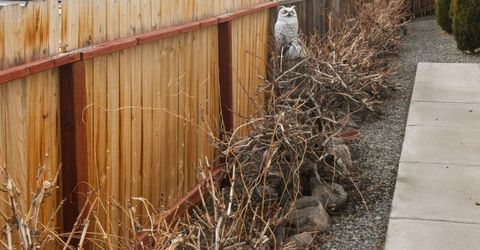 4301 Pinnacle Vista Court, Sparks, NV 89436 Photo