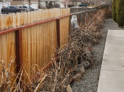 4301 Pinnacle Vista Court, Sparks, NV 89436 Photo