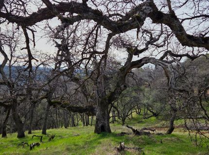 Palace Ln, Placerville, CA 95667 Photo