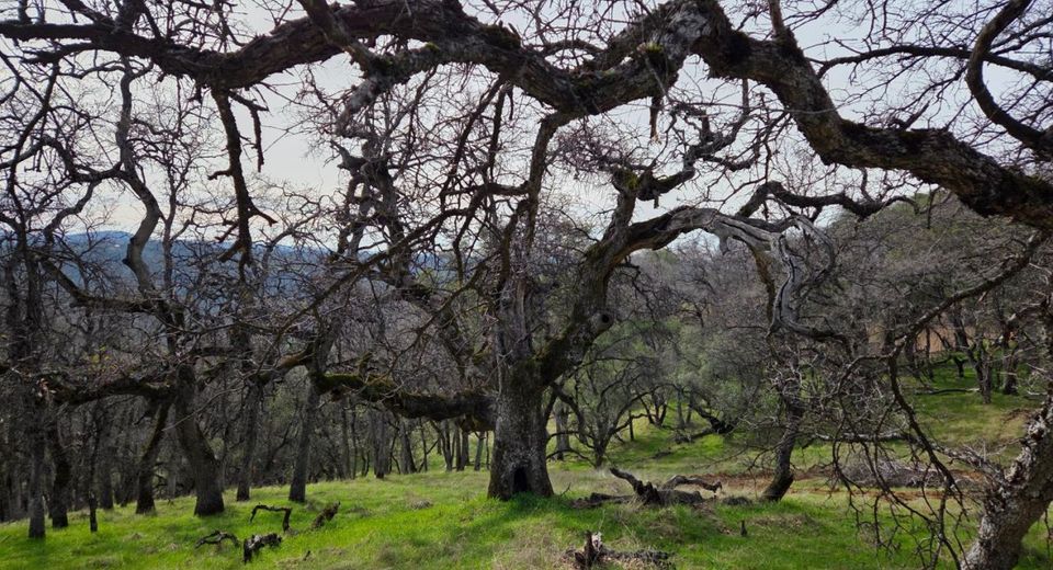 Palace Ln, Placerville, CA 95667 Photo