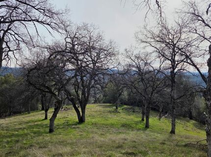 Palace Ln, Placerville, CA 95667 Photo