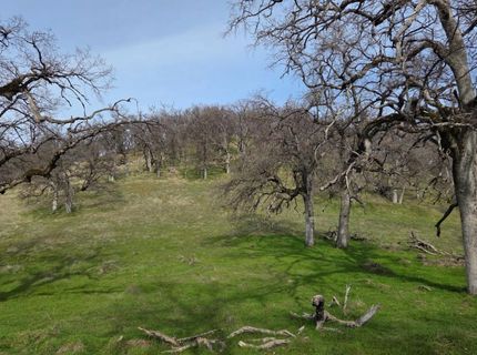 Palace Ln, Placerville, CA 95667 Photo