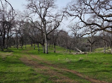 Palace Ln, Placerville, CA 95667 Photo